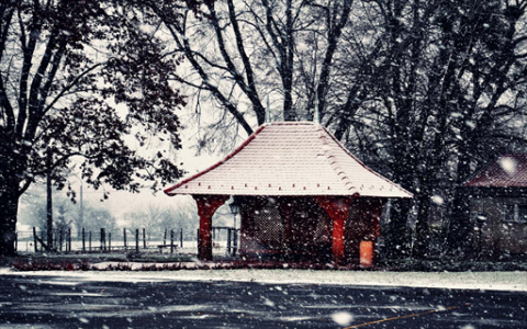 城管回应督促商户出摊 温情执法获赞