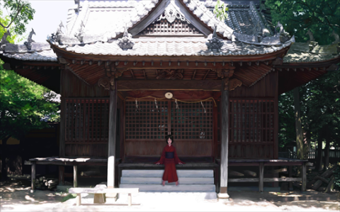 上海知名连锁品牌“宜芝多”将回归 老品牌焕新归来