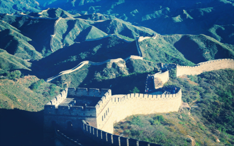 重庆春运出行路警犬助力 “新兵”守护安全