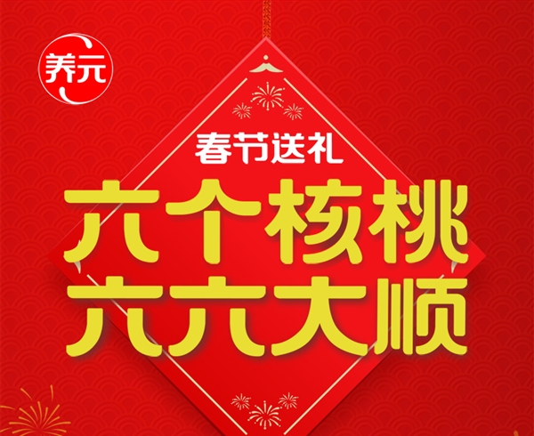 年货必备：六个核桃六六大顺精品核桃12罐46元包邮