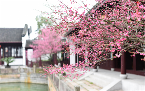 今日周大福黄金价格886元/克 品牌金价对比