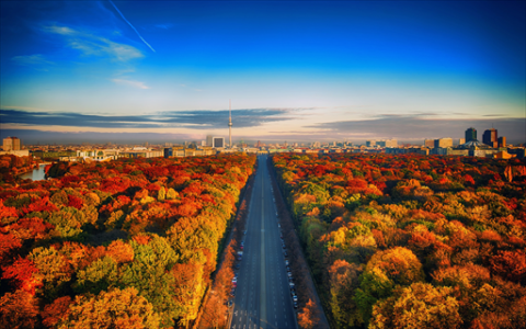 大V：石破茂打“安倍牌”拉拢特朗普！