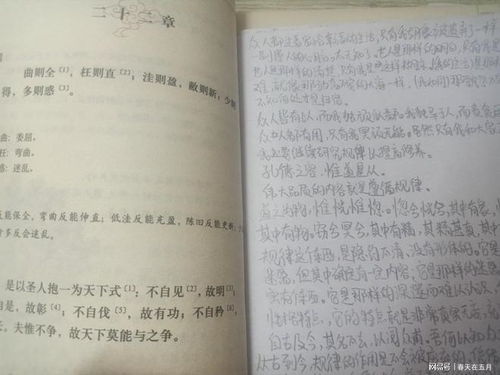 上元夜游文言文译文