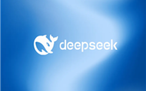 DeepSeek进军中东：与石油巨头沙特阿美联手启动数据中心_67a972de409c6.png