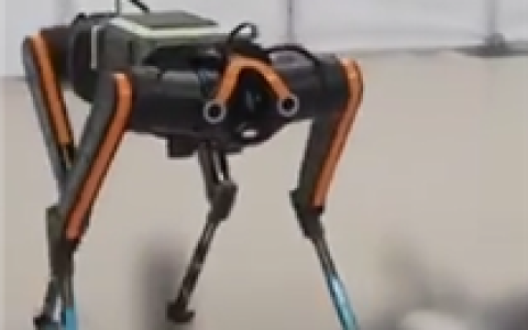 全球最快四足机器人“黑豹”诞生！1秒10米跑出“残影”_67a85e92ee877.png