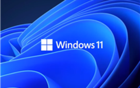 Win10来到生命末期：Win11份额一路攀升创历史新高！_67a030d114ce2.png