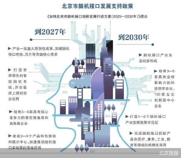 当脑机接入现实