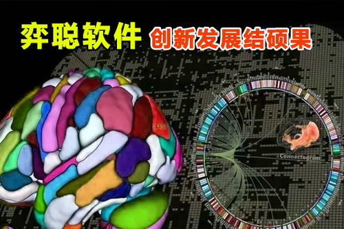 数字背后的故事：探究‘43234’的奥秘