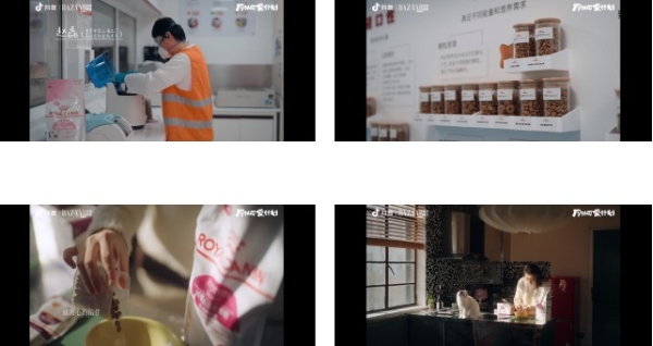 宠物内容IP进化之路——#万物可爱计划 以“健康溯源”重构萌宠新经济