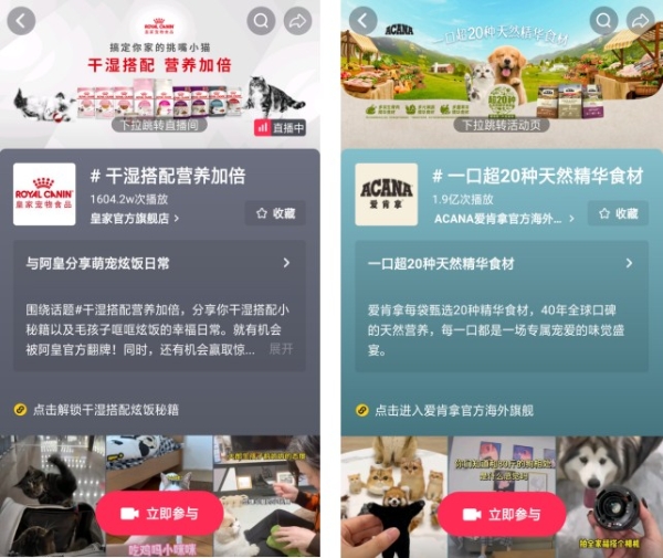 宠物内容IP进化之路——#万物可爱计划 以“健康溯源”重构萌宠新经济