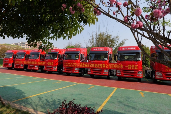 龙行天下 以客为先丨龙擎动力爆单130台！助力钢铁物流提质增效