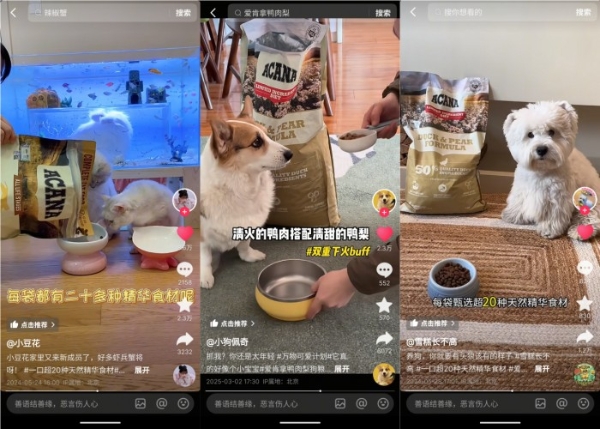 宠物内容IP进化之路——#万物可爱计划 以“健康溯源”重构萌宠新经济