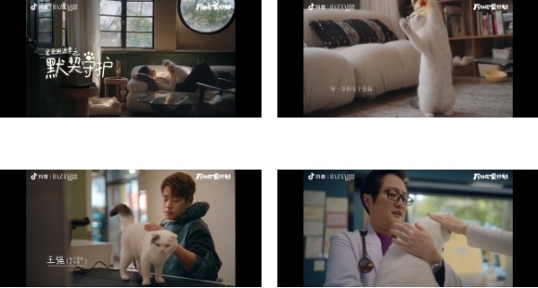 宠物内容IP进化之路——#万物可爱计划 以“健康溯源”重构萌宠新经济