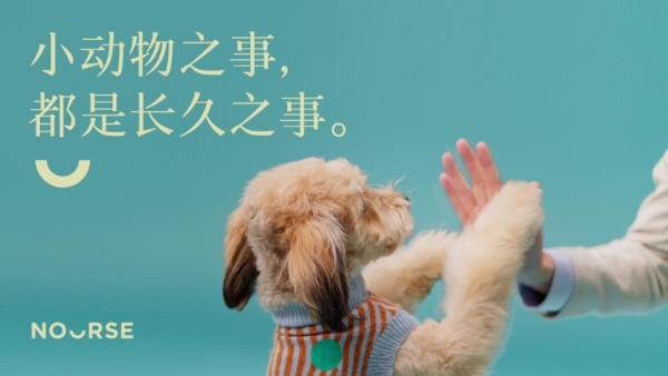 卫仕20周年庆公益携手天猫欢聚日,探索校园公益新模式