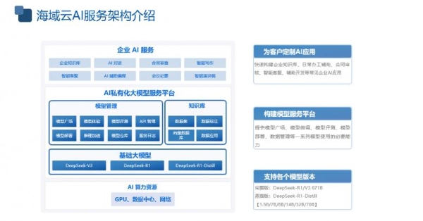 企业AI大模型私有化部署集成解决方案|海域云一站式服务极速落地