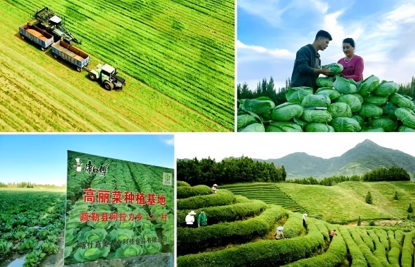 持续盈利，康师傅的迭代进化