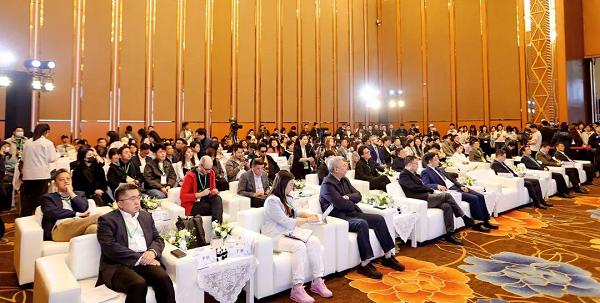 2025微短剧国际传播论坛在中国网络视听大会举行