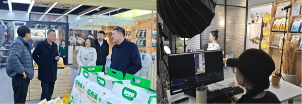 小禾清风破局农业“优质难优价”，携手八五六分公司、菁芒农业打造全产业链新生态 