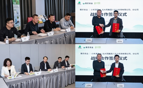 小禾清风破局农业“优质难优价”，携手八五六分公司、菁芒农业打造全产业链新生态 