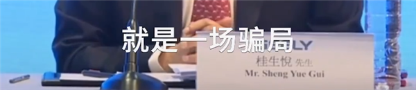 吉利桂生悦：有车企先说智驾是骗局 现在东拼西凑又称引领