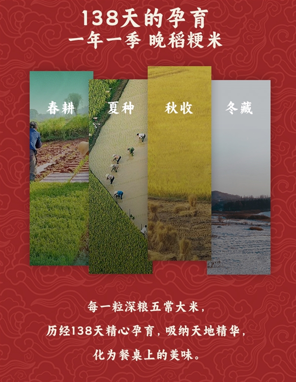 刚需速囤！深粮控股五常大米10斤半价狂促：29.9元