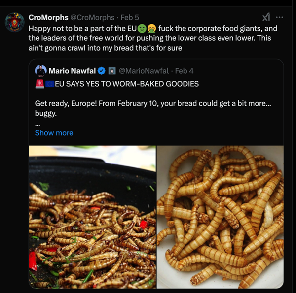 欧洲人要被“强迫”吃虫了