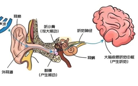 发病率上涨3倍多！好好的年轻人 怎么突然就听不见了