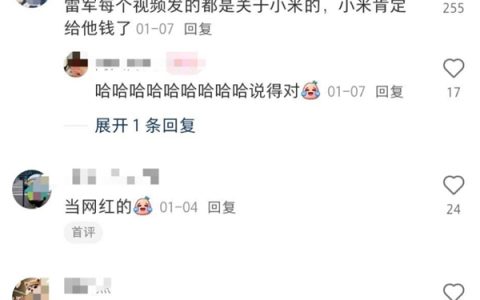 网友灵魂问题问懵雷军：雷总你在小米是做什么的 怎么进的小米