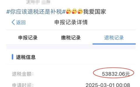 凌晨退税喜提5万多！网友直呼：3月第一份快乐