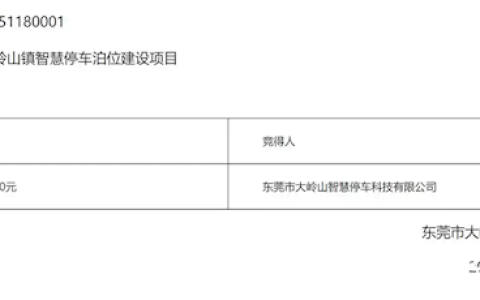 一乡镇停车位“卖”出1.27亿受热议 最新回应来了