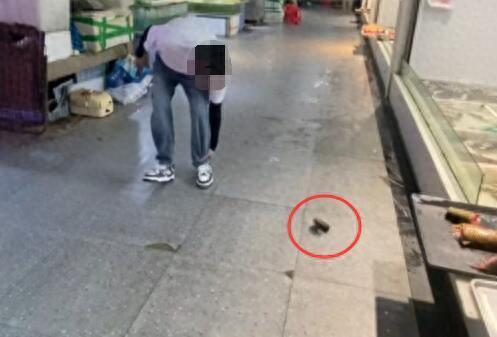 顾客买鱼不杀遭扔秤砣 商贩被行拘 暴力行为终受法律制裁