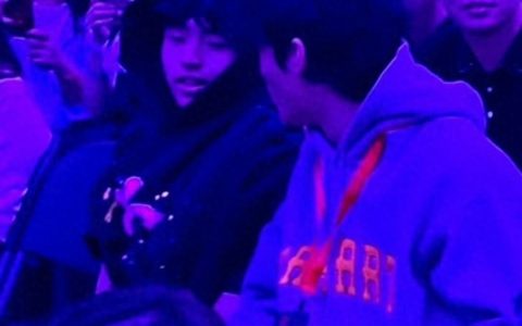 谢霆锋两个儿子现身演唱会 网友:迷你版谢霆锋太帅了