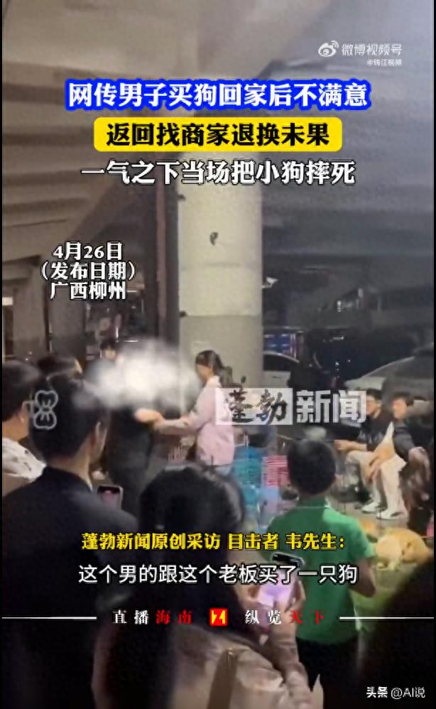 男子退狗遭拒当场摔死小狗 路人心疼抹泪