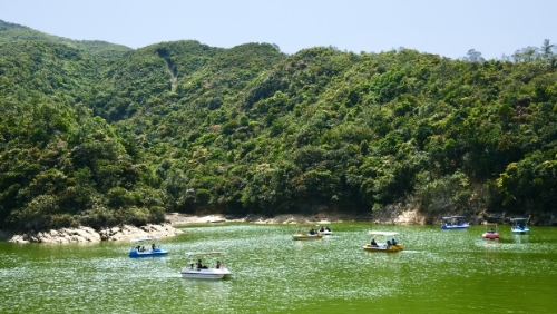 趁春光明媚，一起到黄泥涌水塘踩船仔欣赏自然景致。
