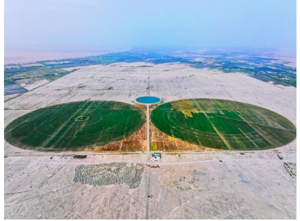 叠纸携手绿技行助力荒漠生态治理