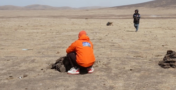 王者策划高原奇遇：追藏狐、捡牛粪，这届直播也太上头了 