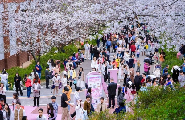 春日经济” 靠它出圈， “吸睛”又“吸金”！