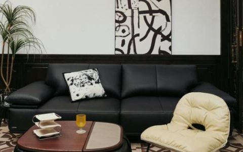 林氏家居包包椅引领家居风尚，创新营销赢得市场认可