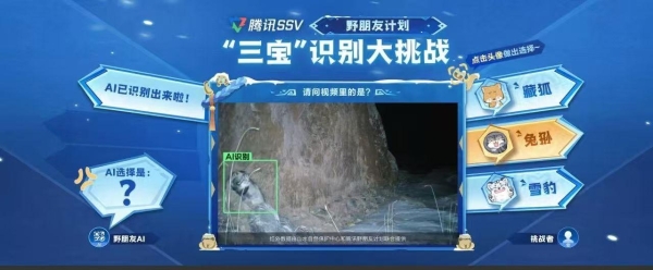 王者策划高原奇遇：追藏狐、捡牛粪，这届直播也太上头了 