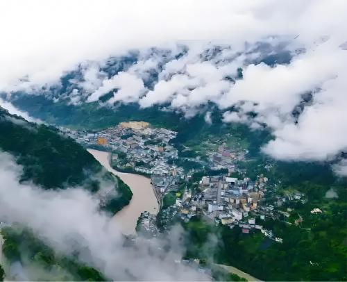 中医智慧赋能生态保护：马加慈医生在腾冲科学家论坛探讨生物多样性保护新路径