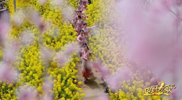 《田野欢歌》：打造乡村综艺新范式，奏响文旅融合最强音 