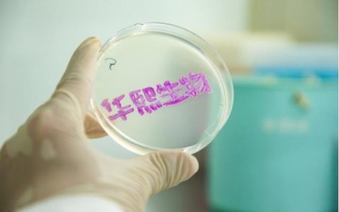 一个来自中国的全球化公司的成长故事——华熙生物亮相 2025 年第五届中国国际消费品博览会