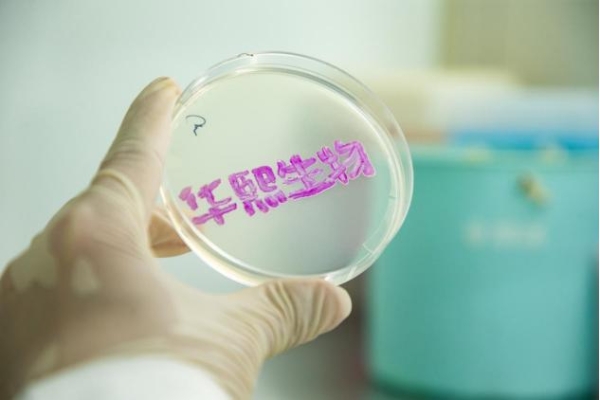 一个来自中国的全球化公司的成长故事——华熙生物亮相 2025 年第五届中国国际消费品博览会