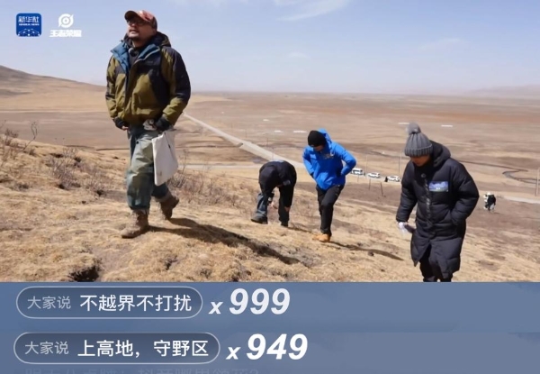 王者策划高原奇遇：追藏狐、捡牛粪，这届直播也太上头了 