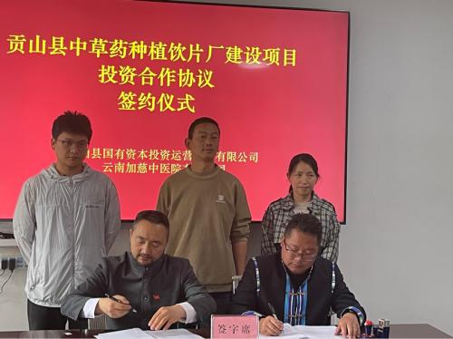 中医智慧赋能生态保护：马加慈医生在腾冲科学家论坛探讨生物多样性保护新路径