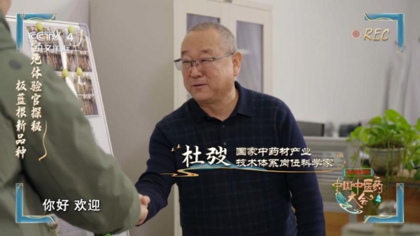 走进甘肃｜探秘传承千年的陇原中医药瑰宝