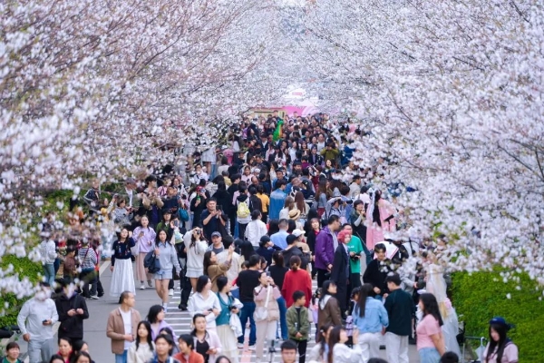 春日经济” 靠它出圈， “吸睛”又“吸金”！