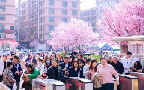 “春日经济” 靠它出圈， “吸睛”又“吸金”！