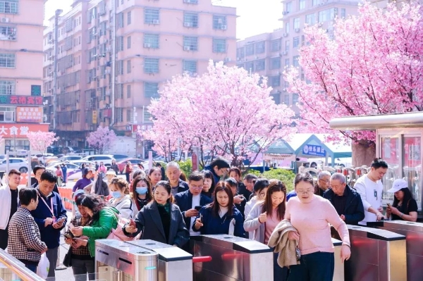 春日经济” 靠它出圈， “吸睛”又“吸金”！