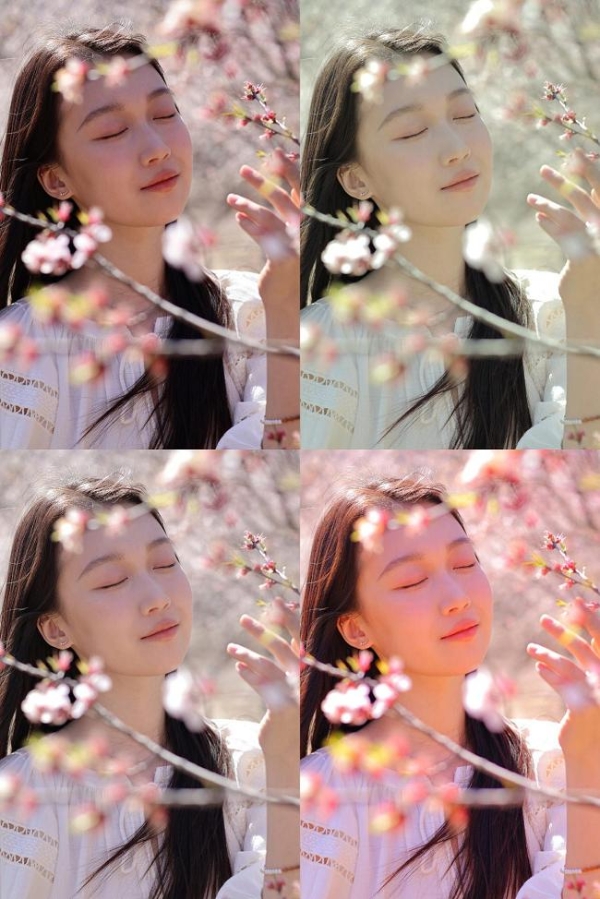  佳能EOS R50春日桃花人像实拍体验